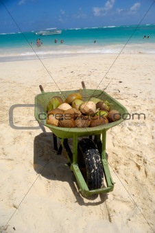 Coconuts for sale on exotic beach