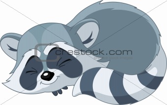Funny sleeping cartoon raccoon