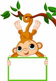 Baby monkey on a tree holding blank sign