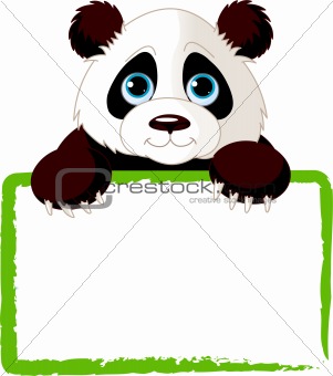 Cute Panda Card