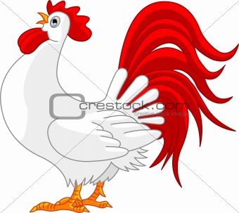  Rooster 