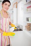 Brunette woman cleaning a cupboard