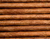 Cigars in a row close-up