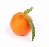 closeup of a tangerine