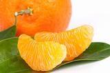 Ripe tangerines with leaves and slices