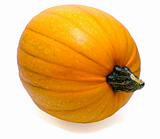 isolated orange pumpkin with stem