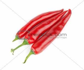 red hot chili pepper 