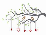 Birds in love on a tree branch