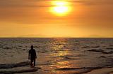 Man in sea on sun set