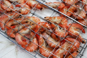 Freshwater prawn seafood.