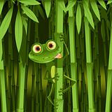 curious frog
