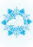 Walrus on the snowflake