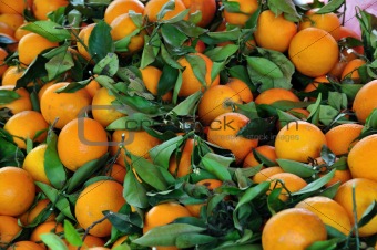 oranges fruit background