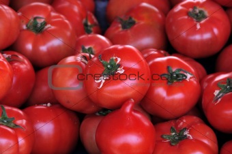 red tomatoes vegetables background