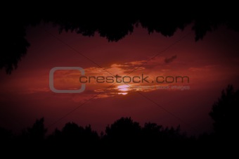 setting sun tree frame