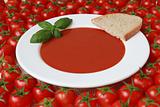 Fresh tomato soup