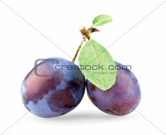 Plum with leaves