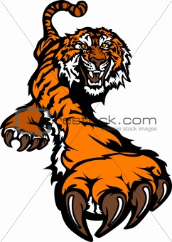Tiger Mascot Body Prowling Graphic