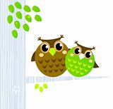 Two cute Owls sitting on the branch isolated on white
