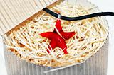 red starfish necklace
