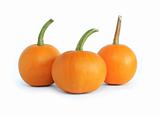 Three Pumpkins