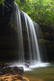 Caney Creek Falls in Alabama