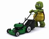 Tortoise with a lawn mower