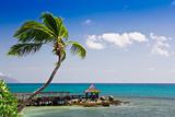 Tropical seascape panorama with palm tree and decking
