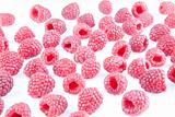 Fresh raspberries 