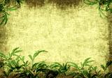 Grunge background with green leaves
