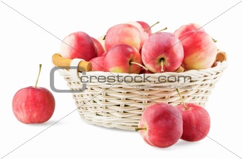 Overfull backet with mini apples