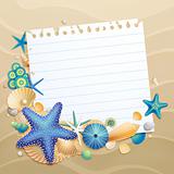 Greeting card with shells and starfishes