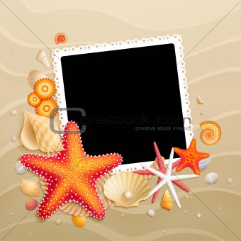 Picture, shells and starfishes on sand background