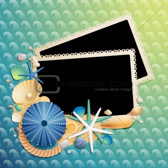 Pictures, shells and starfishes on wave pattern