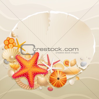 Vintage greeting card with shells