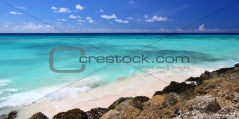 Rocky coastline of Barbados