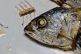 Chub mackerel fried