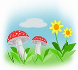 Flowers and Toadstool