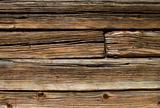 Old wooden log house wall