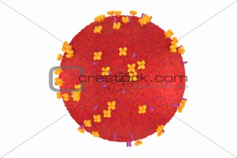 influenza virus model