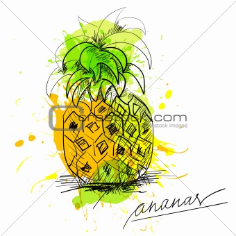 Sketch of pineapple 