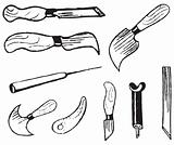 Tools for carving