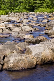 Wooded stream with many rocks
