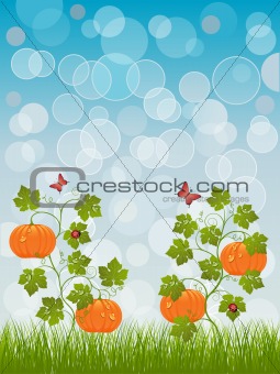 Abstract background with a pumpkin