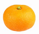 One full fruit of orange tangerine