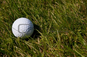 Golf Ball in Rough