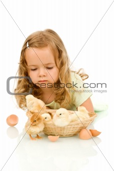 Little girl with small fluffy chickens