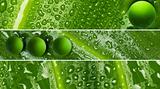 Waterdrops on leaf texture - banners