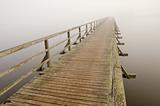 wooden brigde  and  morning mist