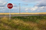 Rural stop sign on the prairies 